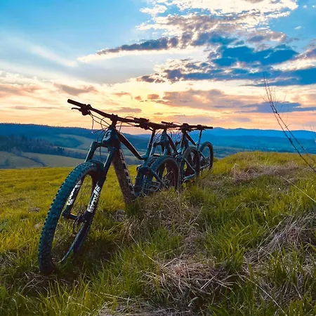 Villa Arthouse Podhale