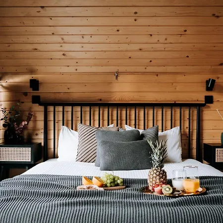 Villa Arthouse Podhale *