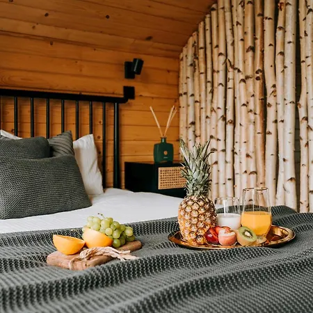 빌라 Arthouse Podhale