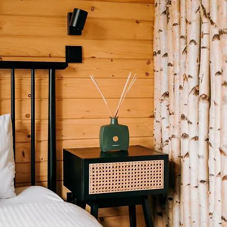 Вилла Arthouse Podhale *