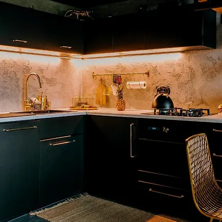 Arthouse Podhale 빌라