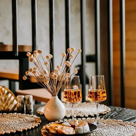 Arthouse Podhale 빌라 *