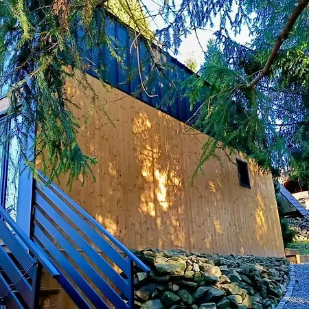 Villa Arthouse Podhale Klikuszowa