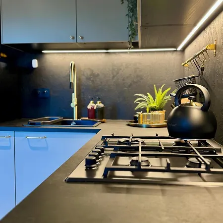 Arthouse Podhale 빌라 *