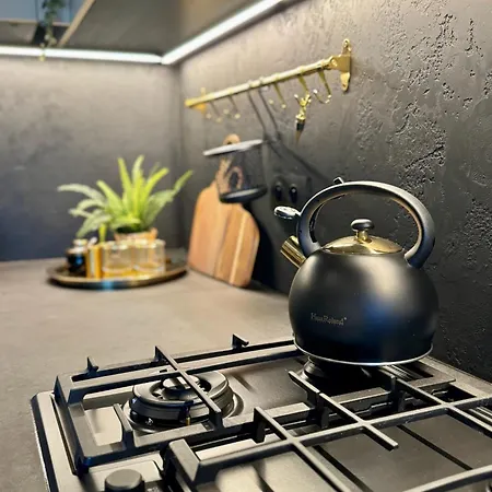 Arthouse Podhale 빌라