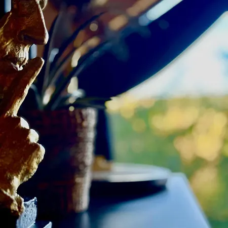 빌라 Arthouse Podhale *