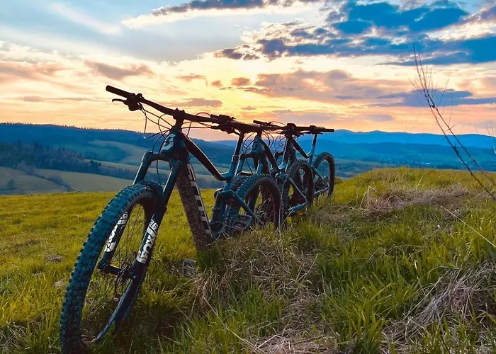 Villa Arthouse Podhale