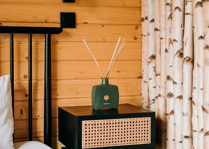 Villa Arthouse Podhale *